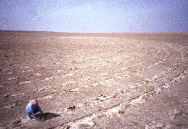 Government assisted rangeland rehabilitation