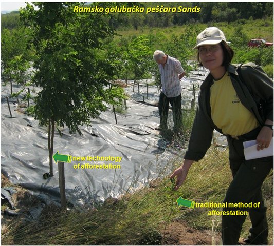 New patented technology of raising forest and orchards in the extremely unfavorable environmental conditions