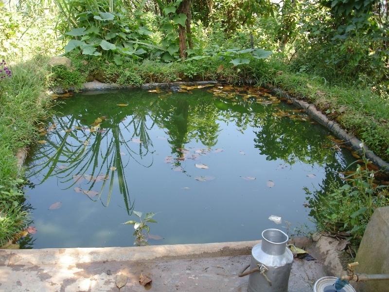 A plastic-lined dug out pond holding