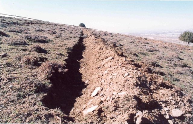 Planting forest  on mountain slopes using moisture accumulating trenches (CACILM)