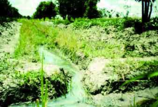 Integrated runoff water management