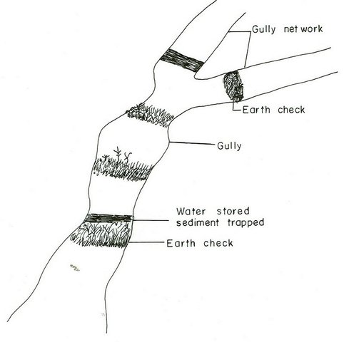 Earth checks for Gully reclamation