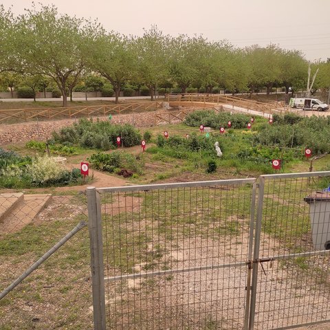 Organic agriculture in the cooperative orchards of Murcia University