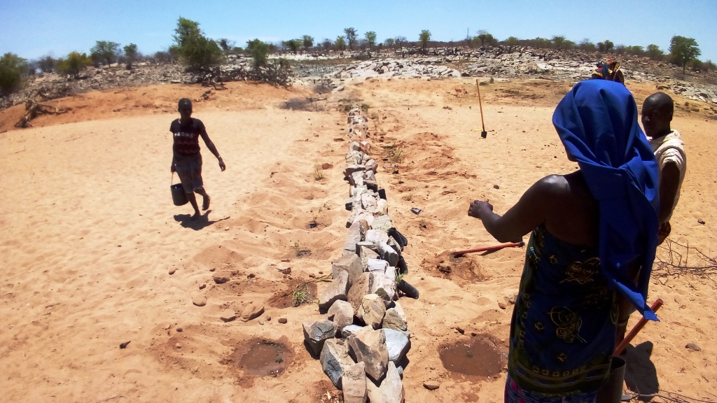 Members of the Tchicolongilo Community building and planting a 'Leaky weir' near the Caungo Natural Springs.