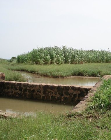 Water-spreading weirs for the development of degraded dry river valleys