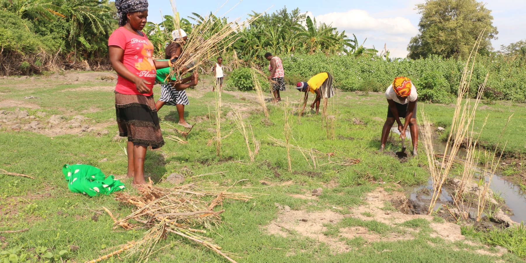 Some of the Manjolo Community women who have lost  an average of 70% of their annual income due to the degradation of Masibinta Wetland are taking proactive measures to restore the resource using nature-based solutions