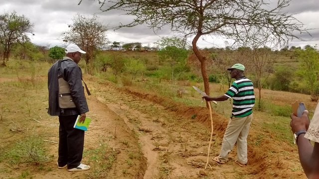 On-farm indigenous pasture establishment demonstrations 