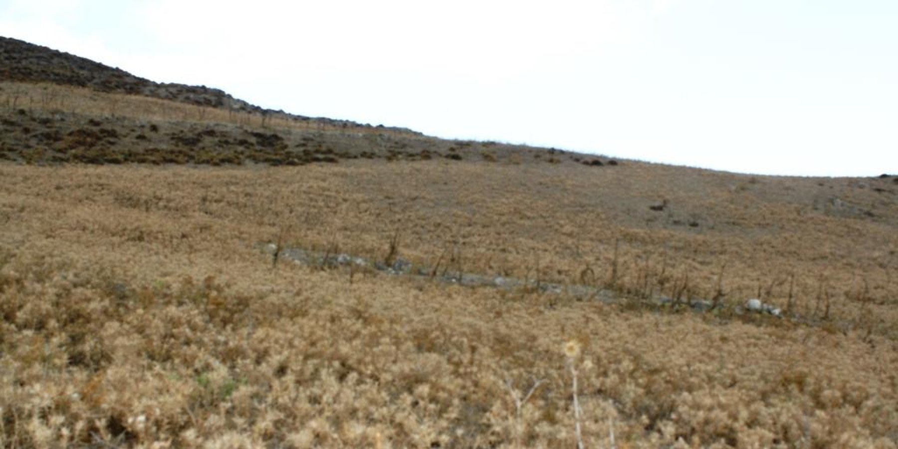 A sloping area used for intensive grazing in Crete  