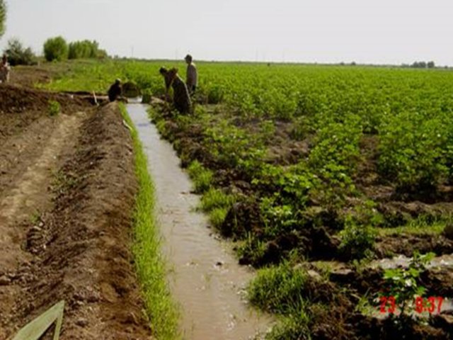Counter watering method of furrow irrigation