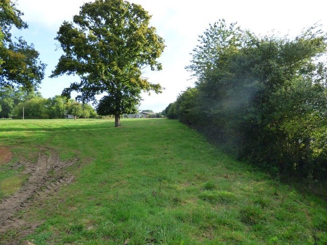 Hedgerows as shelter belts along agricultural fields