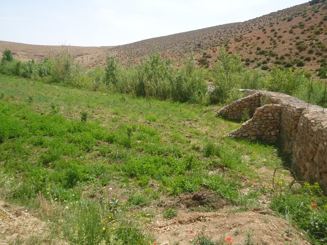 Mur de soutènement en gabion avec contreforts pour protéger les terres cultivées sur les berges d'Oued Outat.