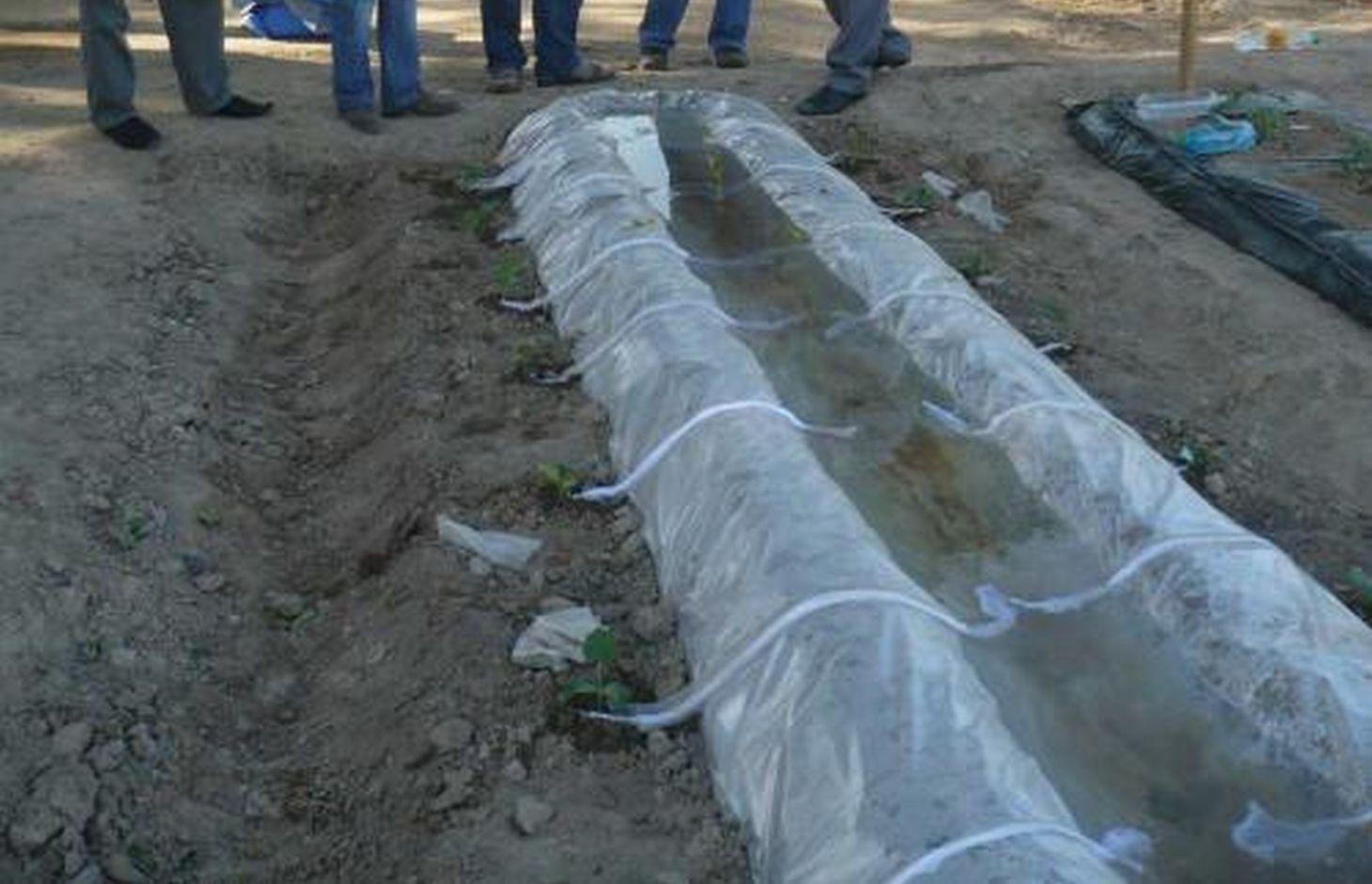 The polyethylene film covers vegetable patches and is filled with water. Every plant is watered with the use of rag strings.