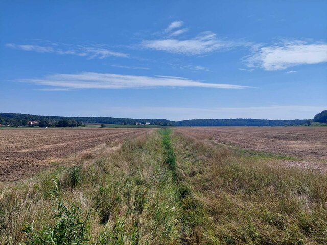 Riparian buffer strips