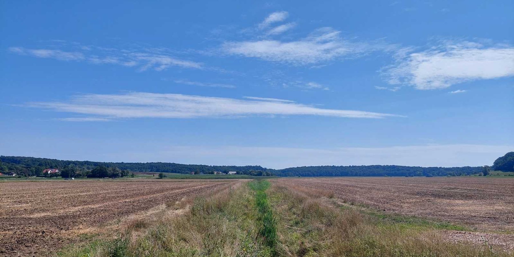 Strips along a watercourse close to the Pesnica River