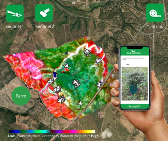 Monitoring and Management of Agroforestry using SmartAG