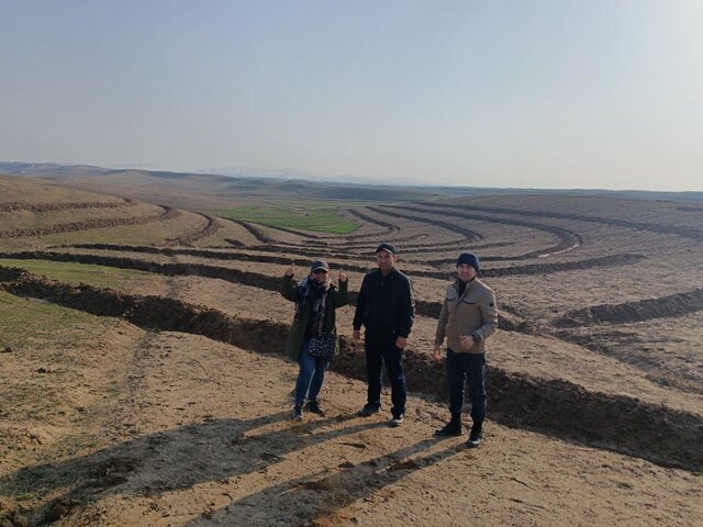 Gradoni Orchard Terraces