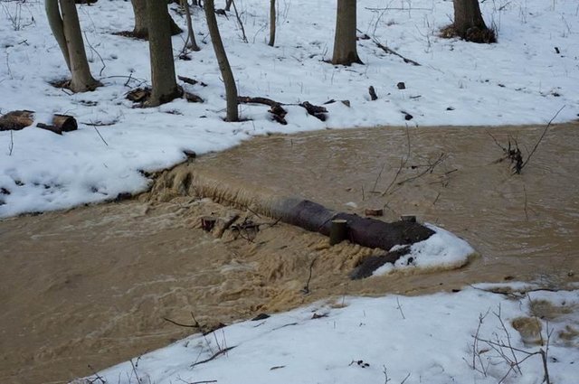 Wooden check dams