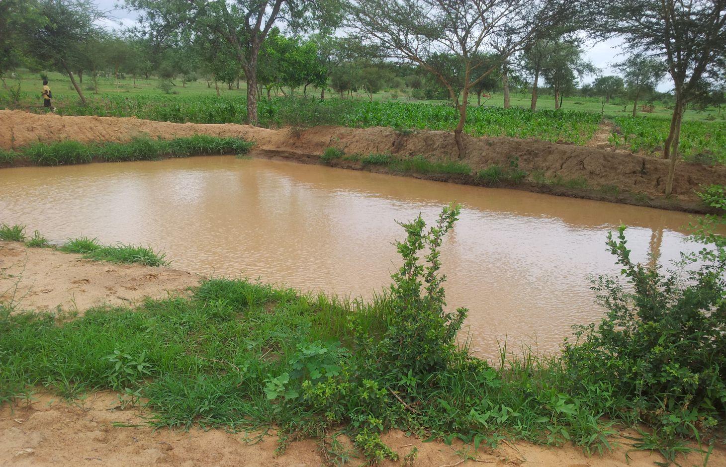 Banka pour l'irrigation de maïs