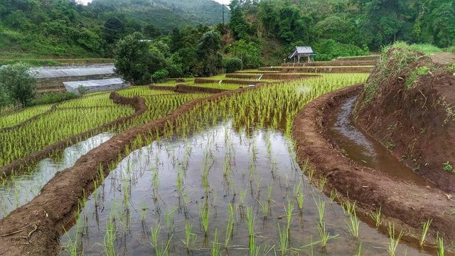 Small Irrigation System for Highland Rice Terraces