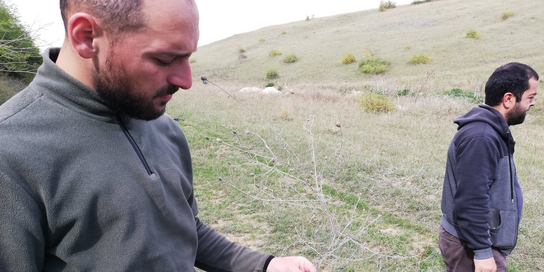 Application of the PRAGA Methodology in the pastures and grasslands of Georgia through the GCP/GEO/006/GFF project, 2019 - 2025