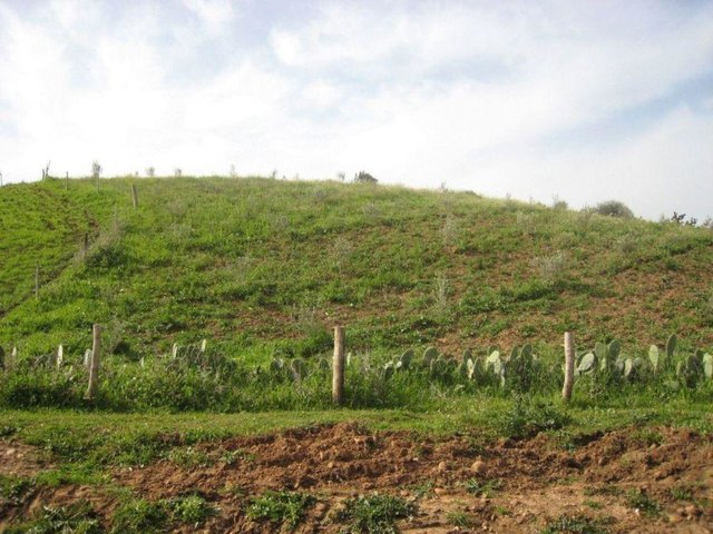 Development of rainfed agriculture