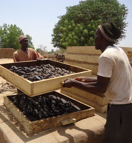 Fish farming as a way of adding value to dam schemes