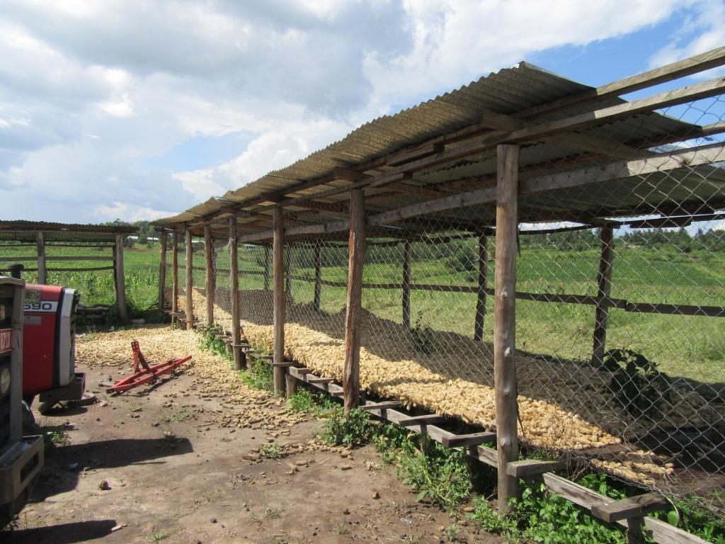 Photo Showing Wire Mesh Maize Storage Crib in Kamwenge District, South Western Uganda