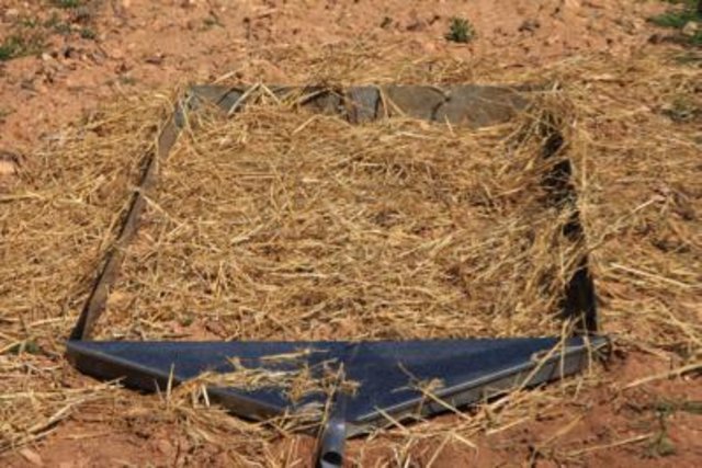 Straw mulching to improve soil quality