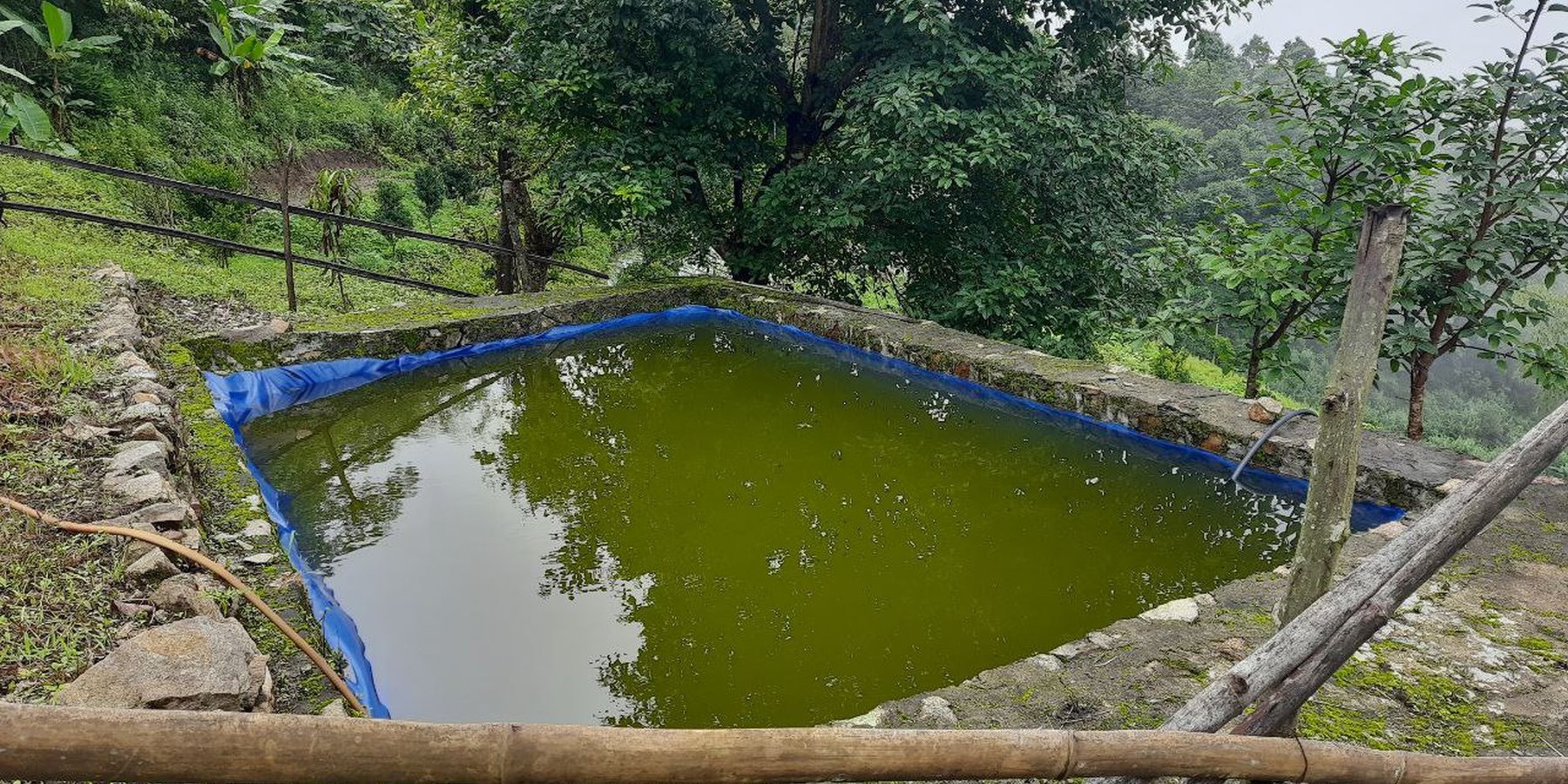 Low-cost plastic-lined water harvesting pond