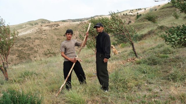 State-controlled research territory for orcharding