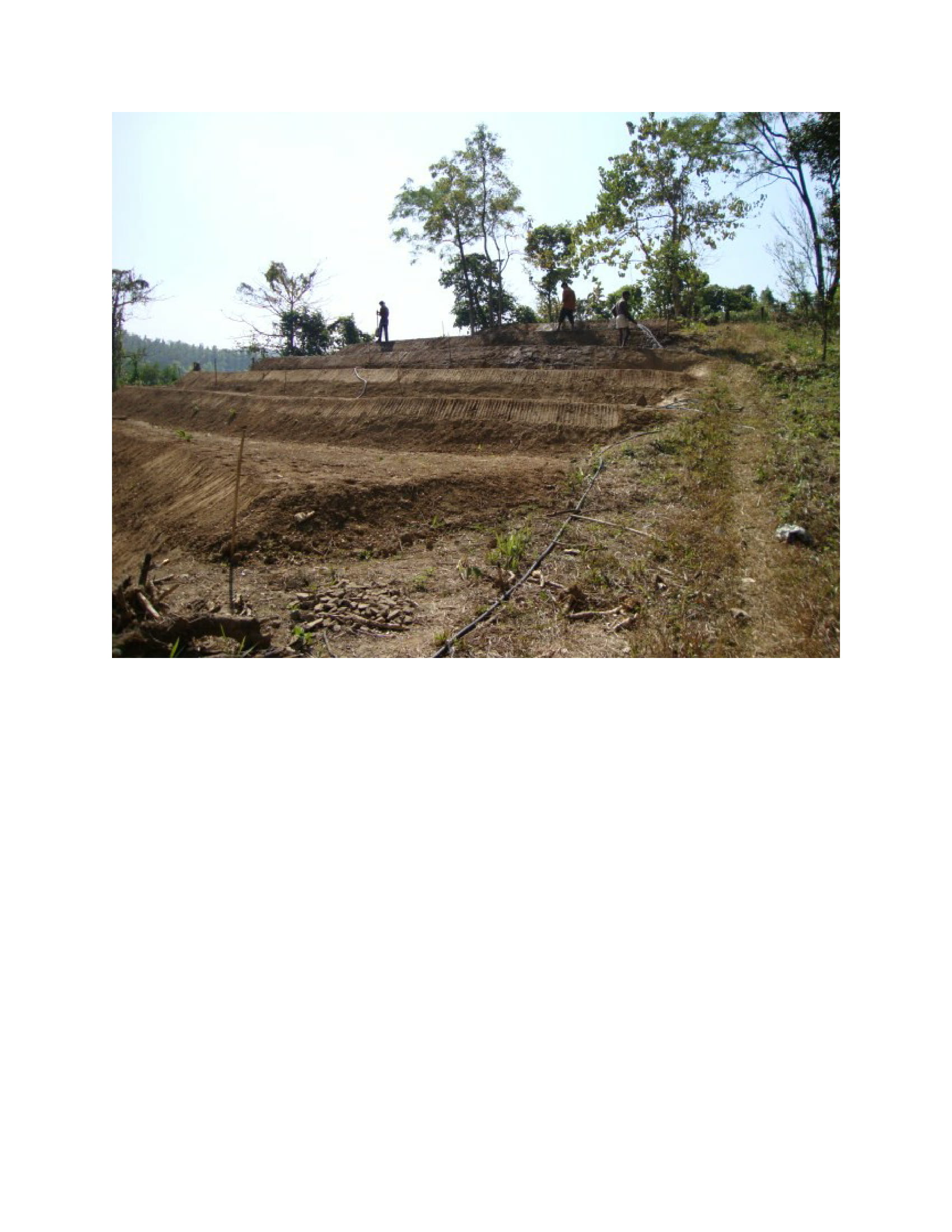 Soil conservation as well as  vegetable production through bench terrace technology in slopy hilly areas of Bangladesh