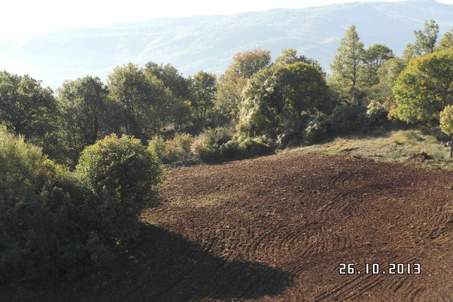 Ploughing and seeding of fodder species to recover degraded grazing areas
