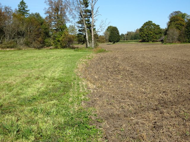 Permanent grassland on peaty and eroded soils