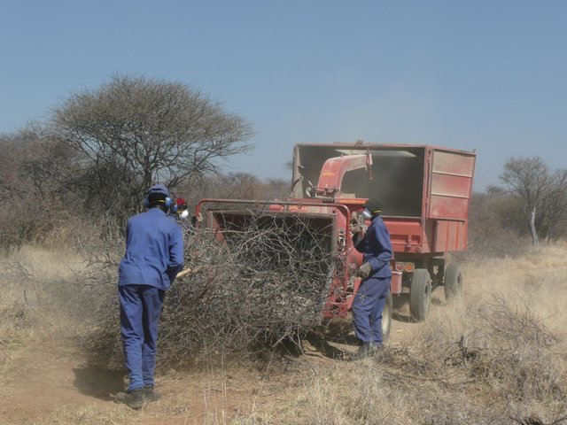 Bush Thinning and Biomass Processing by Manual or Mechanised Means