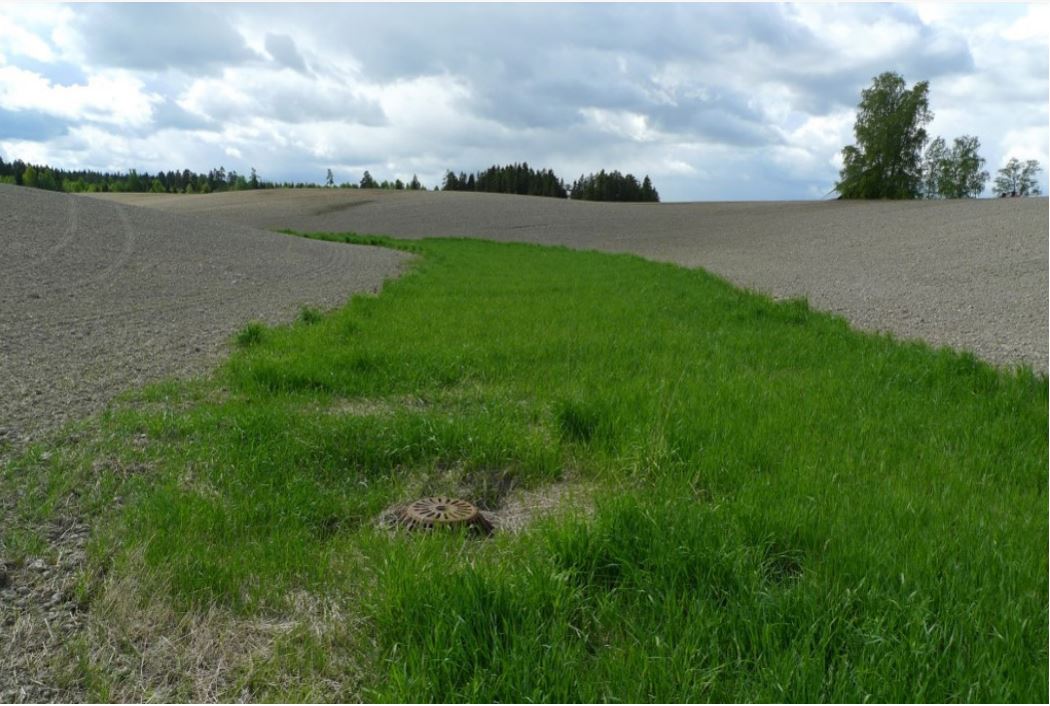 Example of grassed natural waterway in the landscape