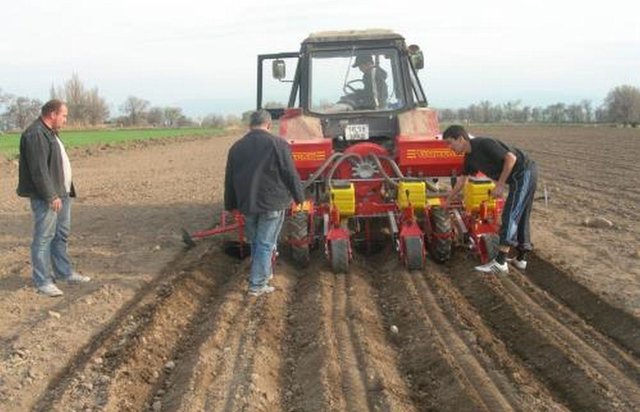 The ridge sowing technology (CACILM)