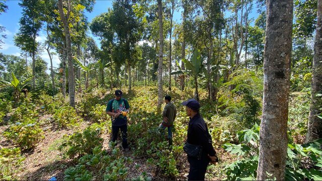 Agroforestry and Reforestation for Improved Livelihoods and Ecosystem Services