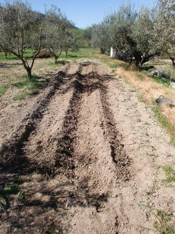 Maintaining a 15th century irrigation system for a small orchard