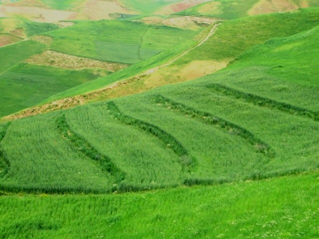 Terraces with improved seed and fertilizer application