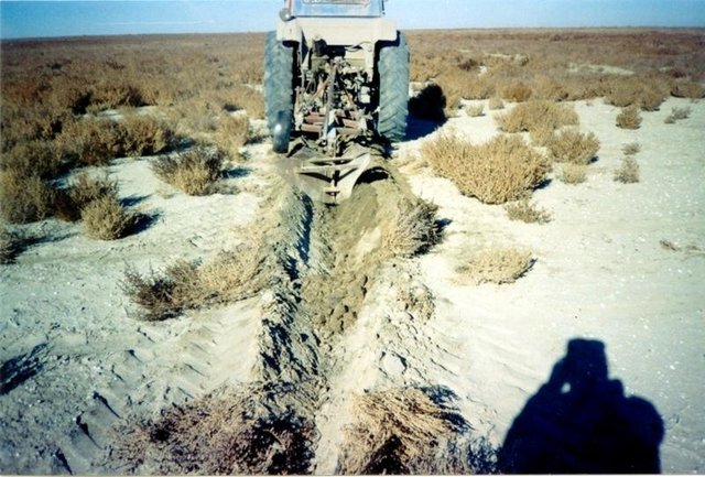 Technology of fastening Aral sea's drained bottom' s  soil