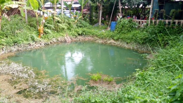 Water Storage Ponds in Small-Scale Agricultural Areas