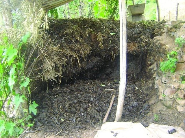 Better quality farmyard manure through improved decomposition