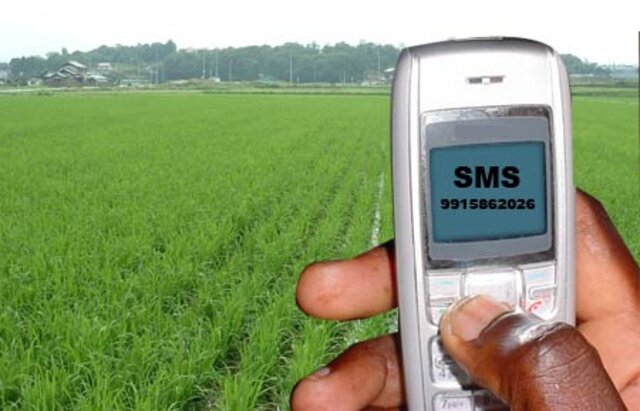 ICT2Scale – supporting smallholder farmers with cellphone-based services via SMS