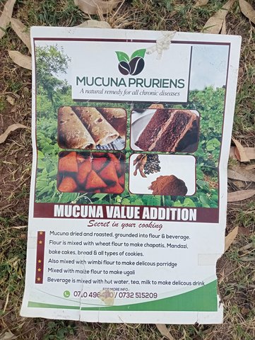 Mucuna value-addition for female farmers