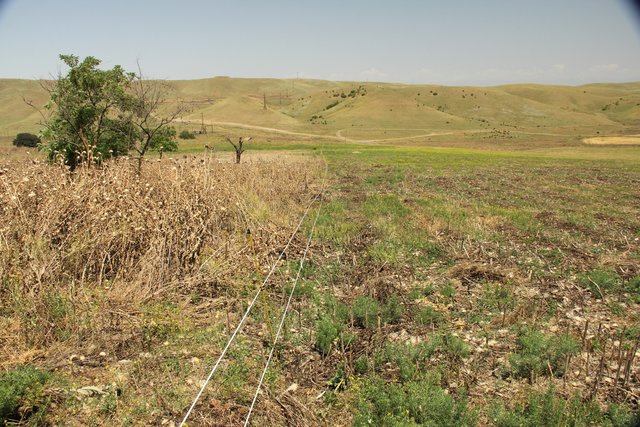 Establishment of a paddock system and improvement of degraded pastureland.