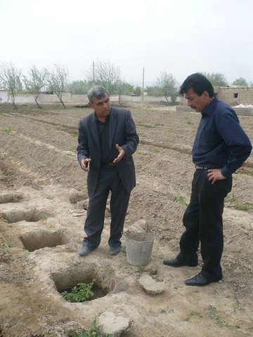 Vertical growing of potatoes in pits, by the gradual addition of further layers of soil.