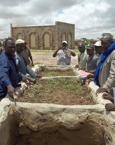 Using organic fertilizers on small-scale irrigation plots