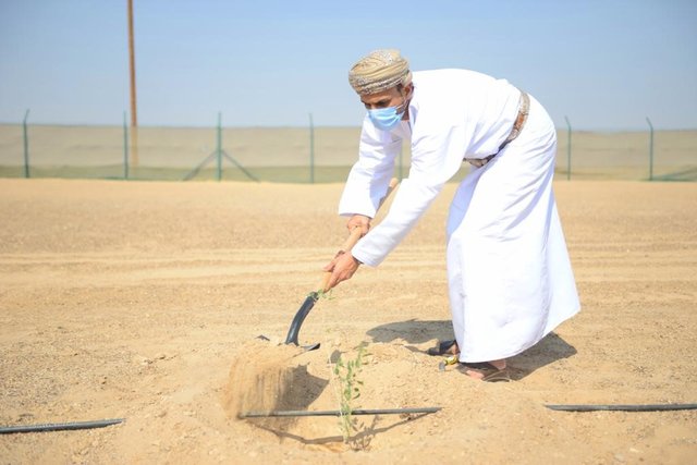 Planting 10 million trees