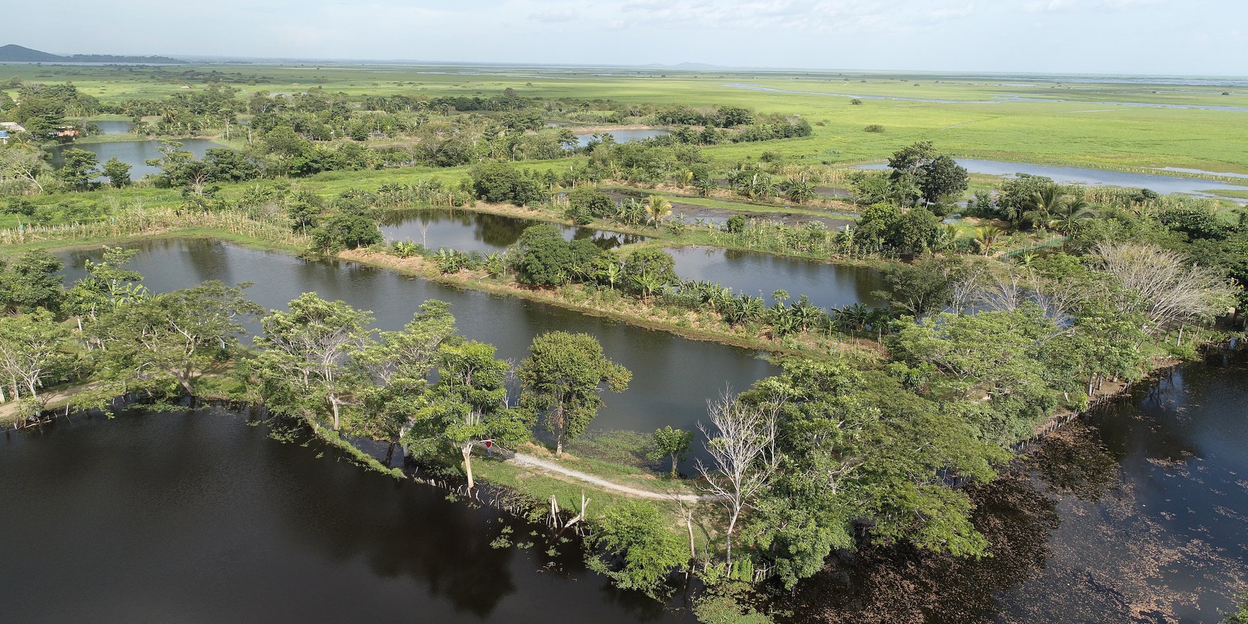 Agricultura anfibia: Vista aerea de los estanques para piscicultura y diversos cultivos de subsistencia sobre camellones.