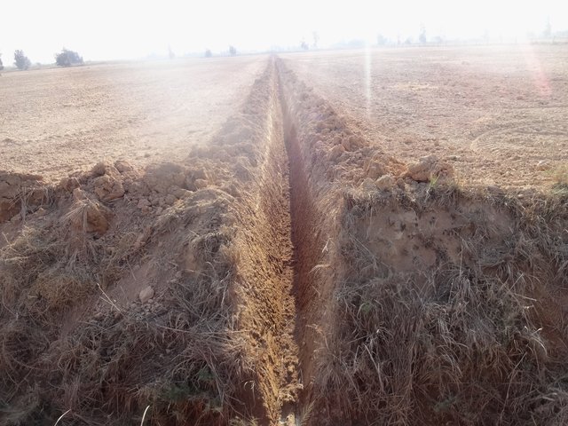 Calcareous soils management